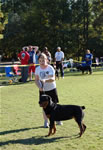 12-18 FEMALES: 0439 Drakkenfels Atia Vom Atubros SG