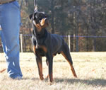 6-9 MONTH MALES: 0702 Fitzhugh Von Der Amell P2