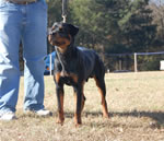 6-9 MONTH MALES: 0705 Fitzhugh Von Der Amell P2