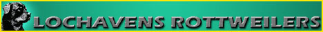 Lochavens Rottweilers - Located in Utah