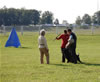 BST's and ABST's: 0216 Nepumuk Von Der Holzhaussiedlung