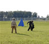 BST's and ABST's: 0240 Chubaka Vom Waldbach