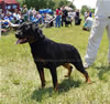 12-18 Females: 0317 Atia V Deatschen Erbe
