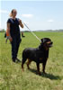 12-18 Females: 0341 Dusia Von Kozak