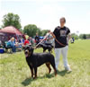 12-18 Females: 0370 Brita Von Hause Kigen