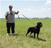 12-18 Females: 0374 Yukka From House Rotvis