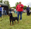 9-12 Females: 0342 Gunda Vom Waldbach