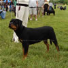9-12 Females: 0348 Ezra Von Schoenfelden