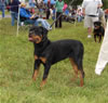 9-12 Females: 0350 Ezra Von Schoenfelden