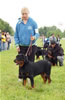 6-9 Males: 0048 Boto Von Landschaft