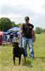 Champion Males: 0125 Streitwein Doctor Thor Kayara