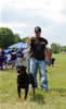 Champion Males: 0126 Streitwein Doctor Thor Kayara