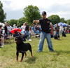 Champion Males: 0128 Streitwein Doctor Thor Kayara