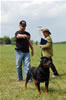 Champion Males: 0129 Streitwein Doctor Thor Kayara