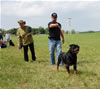 Champion Males: 0130 Streitwein Doctor Thor Kayara