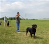 Champion Males: 0136 Esmonds Quidado Thor