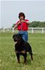 Champion Males: 0147 Djuke Vom Vilstaler Land