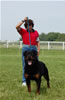 Champion Males: 0149 Djuke Vom Vilstaler Land