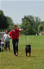 Champion Males: 0156 Djuke Vom Vilstaler Land