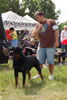 Champion Males: 0160 Thundervlys Legend Vom Mitternadt