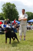 Champion Males: 0164 Vico Vom Kressbach