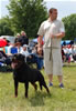 Champion Males: 0165 Vico Vom Kressbach
