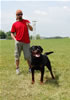 Champion Males: 0174 Benno V.h. Falconsnest