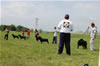 Champion Males: DSC 0178
