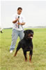 Open Males: 0028 Ians XL Vom Hause Walker