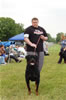 Open Males: 0063 Algutshof Angus