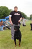 Open Males: 0064 Algutshof Angus