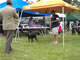 4-6 FEMALES: 200 1054