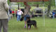 9-12 MALES: 200 1010