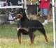 CHAMPION FEMALES: 2100kat 060307 4