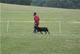 CHAMPION MALE: 2100 1986