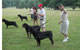 CHAMPION MALE: 2100 1997