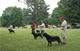 CHAMPION MALE: 2100 2001