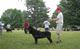CHAMPION MALE: 2100 2005