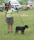 BEST MALE PUPPY: 2100 1220