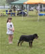BEST MALE PUPPY: 2100 1221