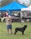 BEST MALE PUPPY: 2100 1222
