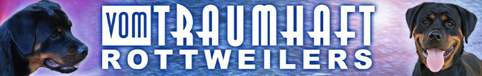 vom Traumhaft Rottweilers - Florida