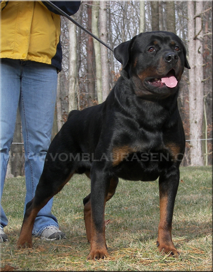 Hines 21 months