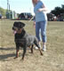 9-12 month Females: 100 4964
