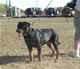 9-12 month Females: 100 4993