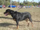 9-12 month Females: 100 5018