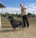 Breeder Class Females: 100 5693