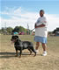 Breeder Class Females: 100 5696