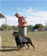 Breeder Class Females: 100 5708