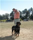 Breeder Class Females: 100 5717
